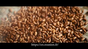 Reunion Island offers travellers the exoticism of a tropical island in the Indian Ocean. At the crossroads of European, African and Asian cultures, Reunion is a true melting pot. https://en.reunion.fr/ | Travel TV.News