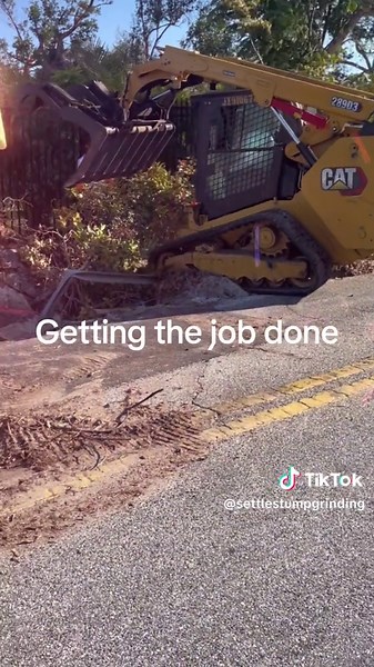 settles stump grinding & Tree on TikTok