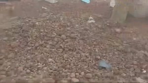 Hidalgo Noticias Alerta on Reels