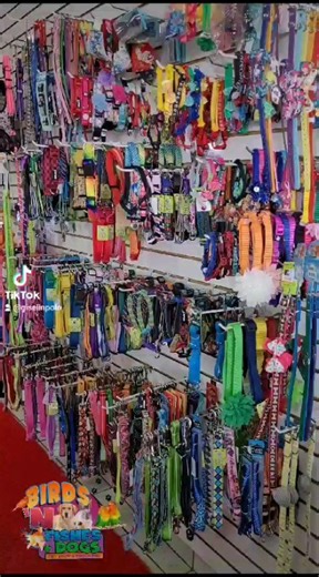 Our Doggie Department has everything you need for your pet✨️😍🐾 #shoppingtime #dogdepartment #food #collars #diapers #toys #bowls #shampoo #milk #crates #travelbags #clothes #snacks #beds #colognes #muzzles #nametags #leashes and more!🐶 | Birds N Fishes Dogs Petshop
