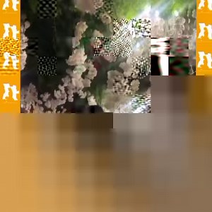 25K views · 399 reactions | VEJA MAIS DETALHES DO CASAMENTO DE XUXU BOWER E DANIA RAFAELA Fredy Costa e Carmen Mouro foram os padrinhos deste casamento e na abertura do salão, o actor não deixou escapar o momento. Puxou a sua esposa para o meio do salão e mostrou as suas habilidades na kizomba. | Noivangola | Facebook