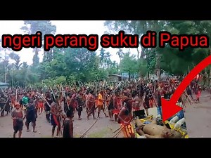 ngeri perang suku di Papua tahun 2025