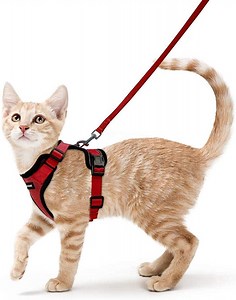 [Hot Item] Cat Harness and Leash for Walking, Escape Proof Soft Adjustable Vest Harnesses for Cats, Easy Control Breathable Reflective Strips Jacket