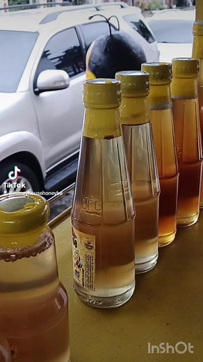 Beesitors From Manila Experience Free Farm Tour and Free Taste of Honey Comb    #FREEtasteofHoney #honeycomb #FREEFarmTour #purehoney Honey House Honey Bee Farm | Honey House Honey Bee Farm | Facebook