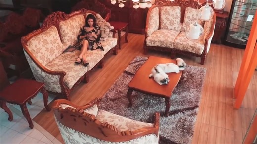 ✨ Elegance Meets Comfort! ✨ Transform your living space with our...