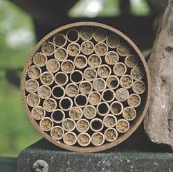 Buy Standard Mason Bee Nest Kit (52 Tubes) Online With Canadian Pricing
