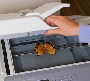 29K views · 91 reactions | Créer une tenue de papillon magique | Brico Famille | Facebook