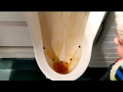 Old Eljer Toilet Tour: Wilson College Lortz Science Hall