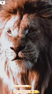 40K views · 2.1K reactions | Palak dj bansur on Reels | Facebook