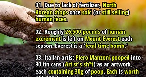 Bowel Business: 32 Fun and Fascinating Facts About Poop - Fact Republic