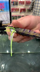 AFTA 2023! | Fish & Boat Magazine