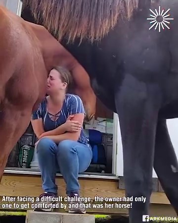 Horse comforts owner when she starts crying🥹 | Make-Up & Hair Tutorials