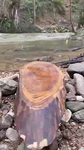 Avengers Fan on Reels