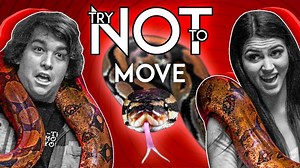 The ULTIMATE Try Not To Move Challenge 🐍 | REACT