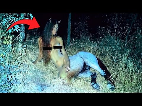 NE CLIQUE PAS SUR CETTE VIDÉO… Ces Créatures SONT RÉELLES 😱