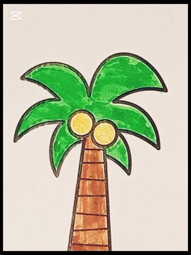 Palm Tree Coloring 🎨