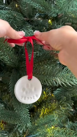 Christmas crafts for cat lovers 🐈🎄✨ #diychristmas #christmascrafts #catsnowglobe #diycatbed #diyornaments | Cujo
