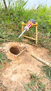 Survival skills: Simple Snake trap in hole #survival #bushcraft #camping#snaketrap | Pennich1