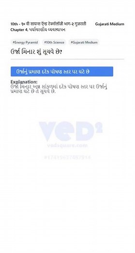 10th Science Environment Energy Pyramid Explained