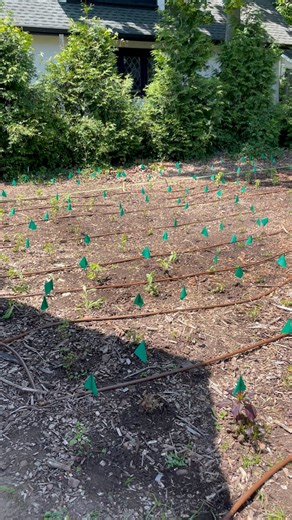 Today volunteers, staff, and Master Gardener, Shelly, planted native plant and flower plugs. Funding is made possible by the Landsberger Foundation. | Montclair History Center | Facebook