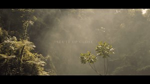 Rodeada de selva tropical y enclavada entre montañas, One&Only Nyungwe House es un paraíso de comodidades donde los secretos salvajes de la naturaleza cobran vida ante sus ojos. . . #OonlyHere #miprioridadesVIAJAR #Rwanda #OORwanda #LuxuryResorts | Viajes Intermex | Facebook