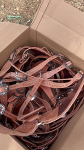 NEW BREAST COLLARS IN 140 | Max Bishop