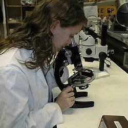 Textile Testing Service, Lab Testing Laboratory in India