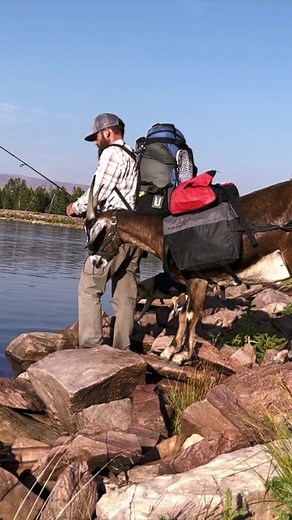 #catchandcook from high mountain lake! #bushcraftcamping #wilderness #remotebackpacking | Firebox Stove