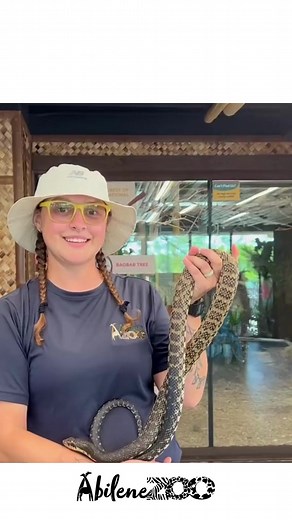 Abilene Zoo on Reels
