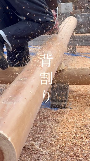 森庄銘木専務 林業家|森林デザイナー on Instagram: "皆さん「背割り」知ってますか？💡 森庄では様々な丸太を製造しています。品質管理に欠かせないのが背割りの工程です。 木は水分を多く含んでおり、乾燥する過程で縮むので反ったり割れたりしますね。生きている証です。 背割りは木の割れを1箇所に逃してあげるための技術で、天然乾燥しているうちにどんどん開いていきますよ💡 皆さんの馴染みのある柱も、実は見えないところに背割りがあるかもしれません🌲 ___ ___ ___ ___ ___ 森庄銘木のホームページ/MORITO ONLINE STOREはこちらからご確認ください @yamanaramorisho ___ ___ ___ ___ ___ #木の家づくり #木のある暮らし #林業 #チェーンソー #磨き丸太 #wood #forest #sawmill #奈良の木のこと #森と暮らしを繋ぐ#japaneseculture #森づくりは街づくり #rootedinharmony #シンボル"