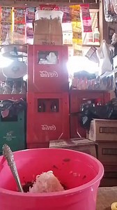 Anna Labrador on Reels