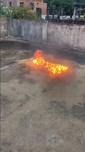 coconut vs all bombs 💥🚫 #experiment #crackers