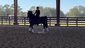 1K views · 99 reactions | The Basics!………Hira continues on in her...