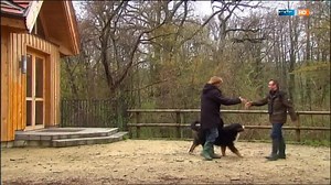 16K views · 108 reactions | Hansi Hinterseer - Ich will mein Herz heut verliern Country: Austria Category: Schlager/Volksmusik/Heimat | Musikantenstadl Tv | Facebook