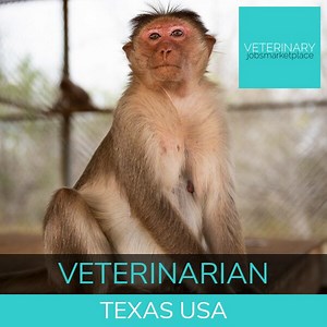 Veterinarian ][ Small Animal - Primates ][ Cotulla Texas USA 喙 +  ...