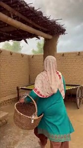 172K views · 3.8K reactions | #Real #village #life #minchinabad #punjab #Pakistan | Shafiq Wattoo | Facebook