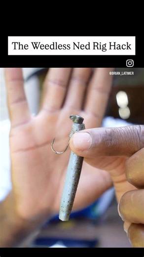 This is a simple way to make your Ned Rig weedless | Brian Latimer