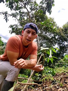 ¡Beneficios de comer Yuca!🦴🍃 | Sebastian Aventura