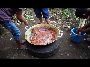 cara membuat gula semut