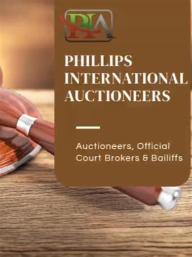 Phillips international Auction on TikTok
