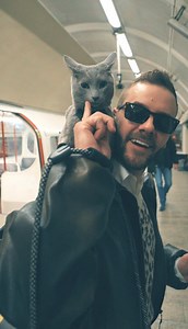 Lupin the Russian Blue: Walking the London Tube with Style