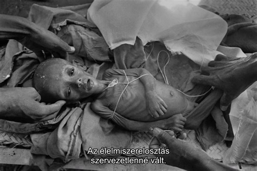 A Föld sója 2014 (The Salt of the Earth - Le sel de la terre)