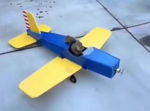 27K views · 245 reactions | Cabezon on Reels | Facebook