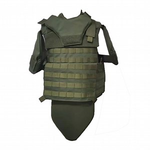 [Hot Item] Supplier Green Tactical Vest with Molle System