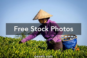 Free Beautiful+Female+Breasts Photos