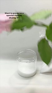 3.7K views · 105 reactions | Preserve your special Valentine’s Day flowers with this easy technique. Visit our blog for step-by-step and a link to our flower drying kits. #driedflowers #driedflorals #driedroses #valentinesdayflowers #roses #PreservedRoses #keepsake #promflowers #weddingflowers #bachelornation #TheBachelor | Chica and Jo | Facebook