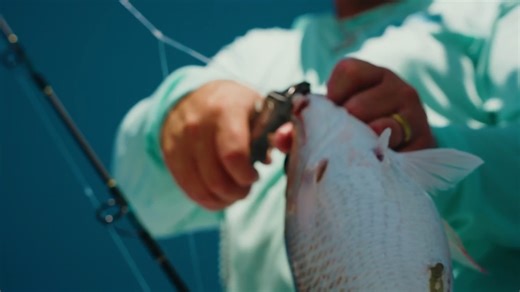 Don't miss an ALL-NEW episode of Fishing Florida Charters airing this Thursday, October 12th, at 11pm EST on the Waypoint TV channel! In the aftermath of Hurricane Ida, Garrett and Laramy brave the offshore waters in pursuit of the coveted gag grouper as the season kicks off. Get ready for rod-bending action and expert fishing tips as they navigate the post-storm fishing conditions! WAYS TO WATCH: https://bit.ly/43J5zqu #WAYPOINT | Waypoint TV