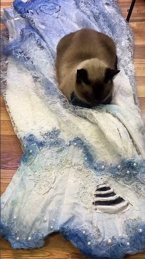 Making a Corpse bride dress from a thrifted wedding dress! 👰 #sewing #corpsebride