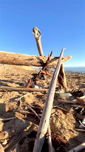 A walk on the beach☀️ #mermaids #scmermaid #mermaid #paradise #waves #ocean #california #explore #travel #beach #nature