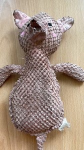 35K views · 160 reactions | C’est ce qu’on appelle : prendre les choses en pattes  | Amazon.fr | Facebook